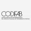 Logotype Codifab Transparent