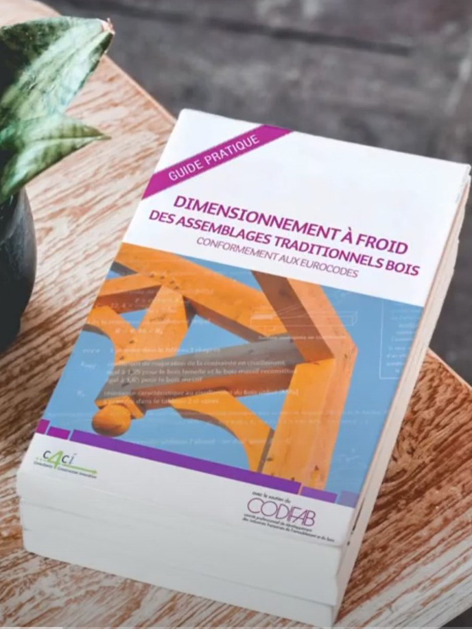 Video Guide Codifab