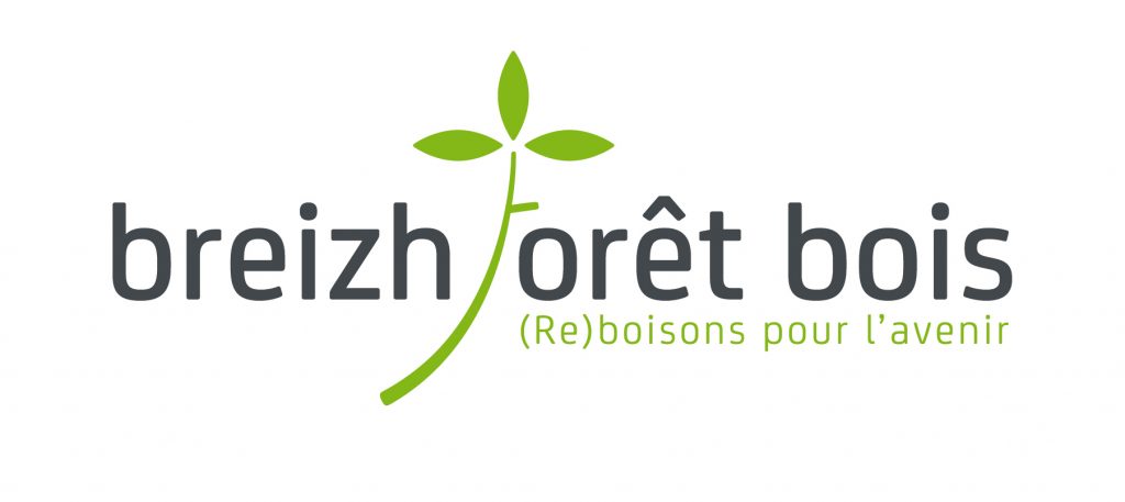 Logobfb Gris2015 Rvb
