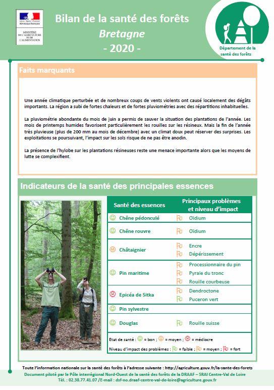 Couv Bilan Sante Foret Bretagne 2020