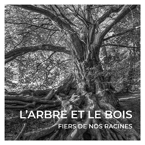 Couv Ouvrage L Arbre Et Le Bois Fiers De Nos Racines Bd