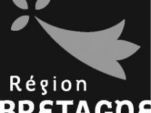 Logo Region Bretagne Gris