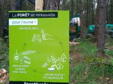 Panneau Forestier Juillet2018