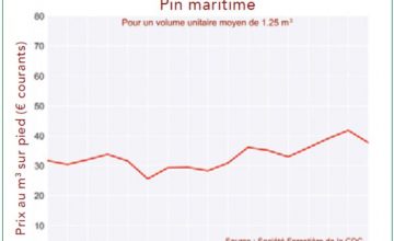 Pin Maritme 2