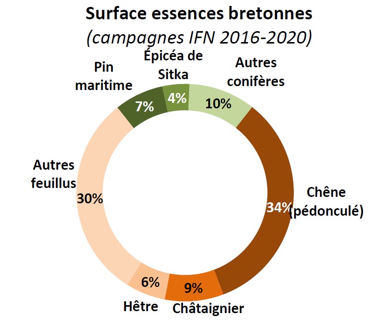 Surface Essences Bretonnes