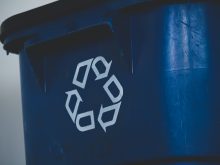 Sigmund Ai4rj Mw4i Unsplash