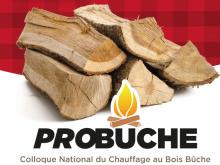 Probuche