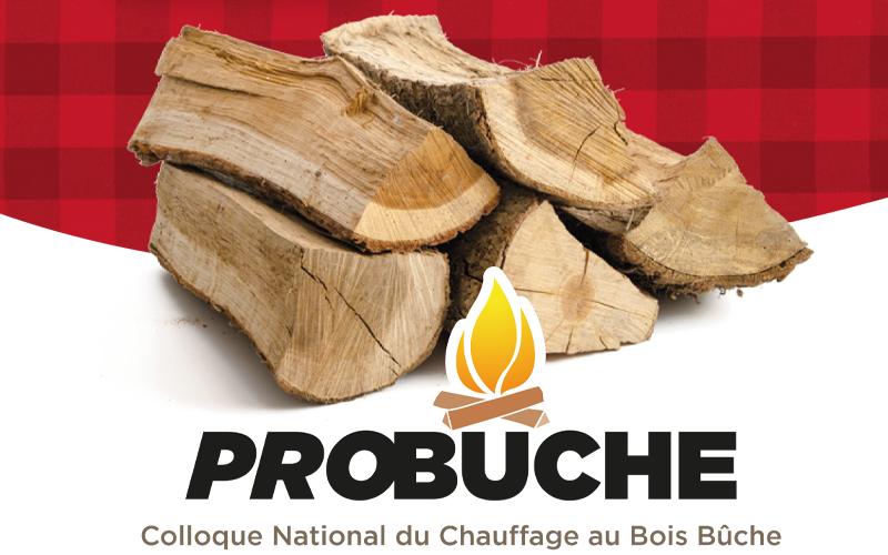 Probuche