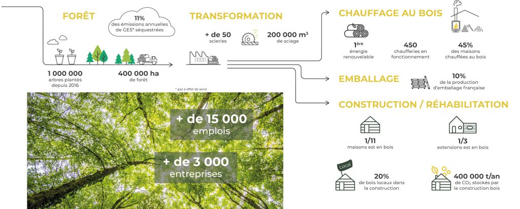 Schema Filiere 2021 Revucw