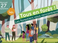 Visuel Tousenforet