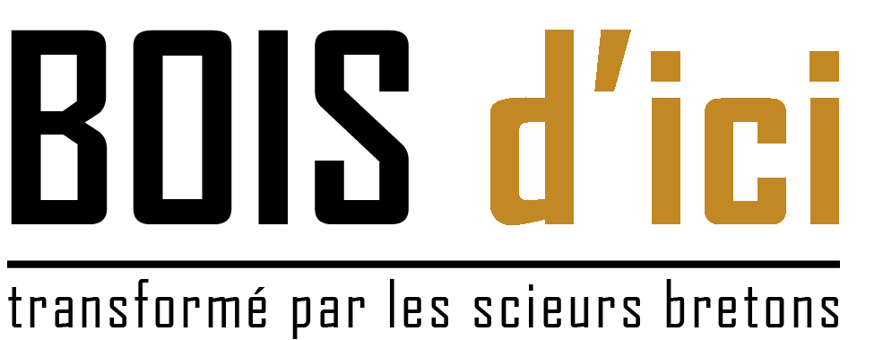 Logo Boisdici2023 Noir Ecureuil