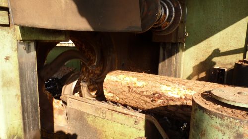 ANNEE PRODUCTION (ANNEE SA LE BOIS DANS TOUS SES ETATS)