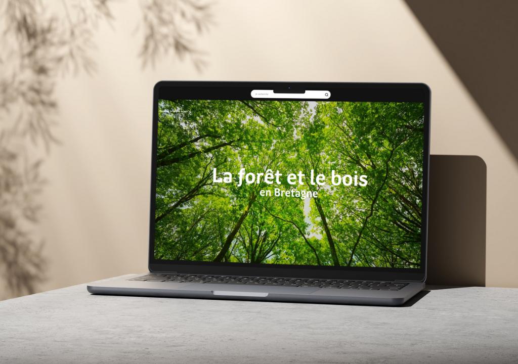 Mockup Ideo Foret Bois