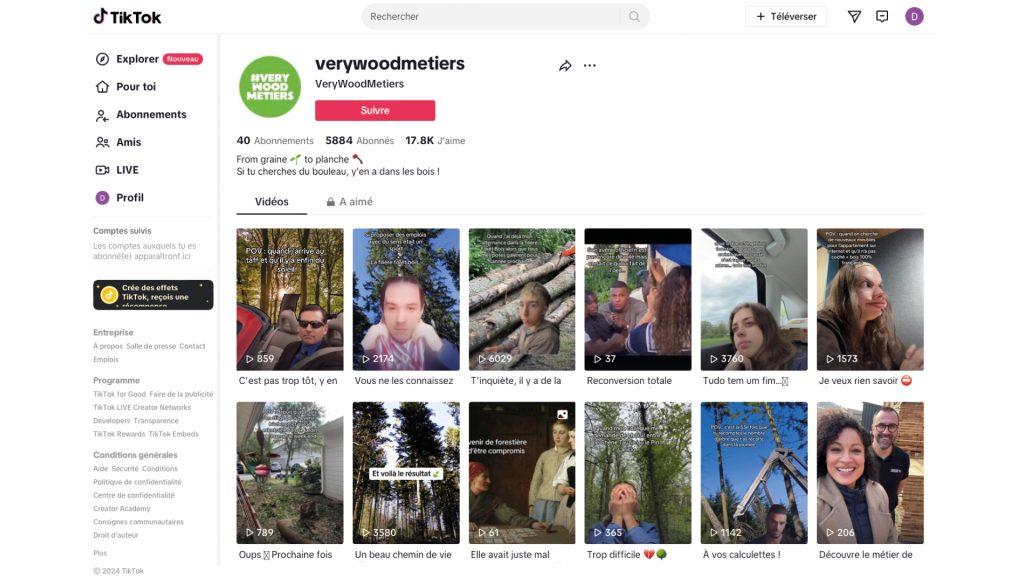 Tiktok Vwm2025