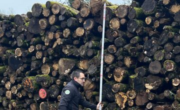 Point Presse Ressource et usages du bois 05/12/2025
