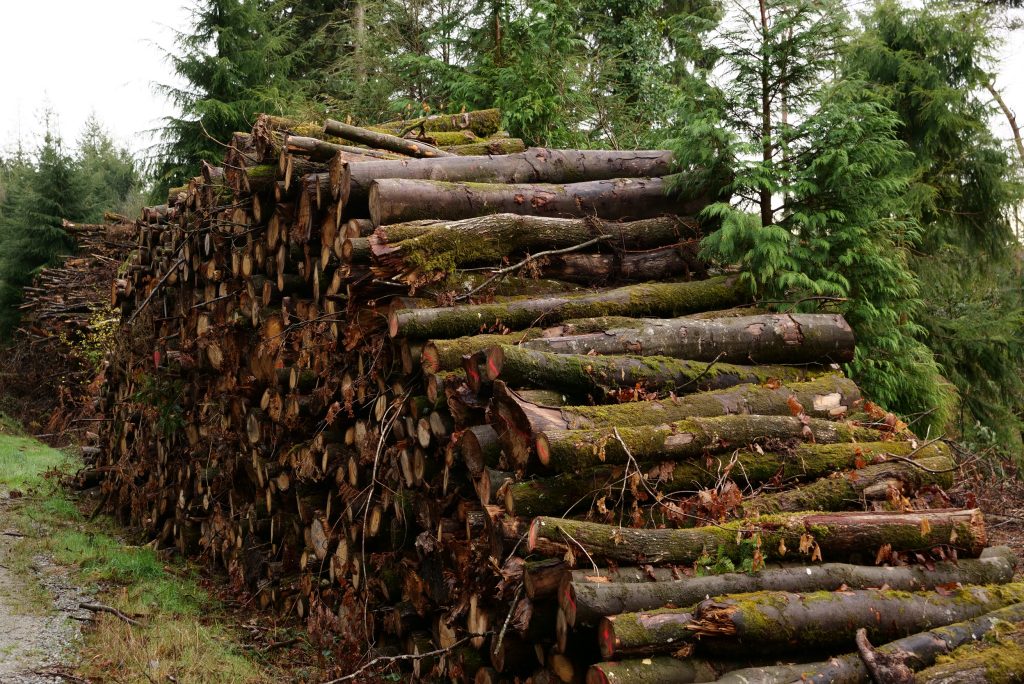 Point Presse Ressource et usages du bois 05/12/2025