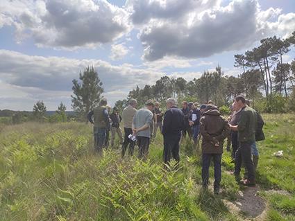 Photo Aslgf Stmartin