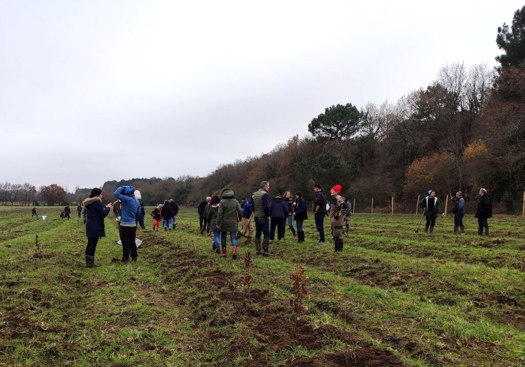 Plantations Communales