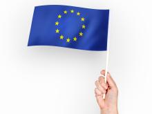 Person Waving Flag European Union