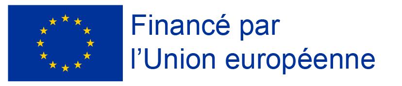 Emblème Ue Base Mentions Financé Bleu